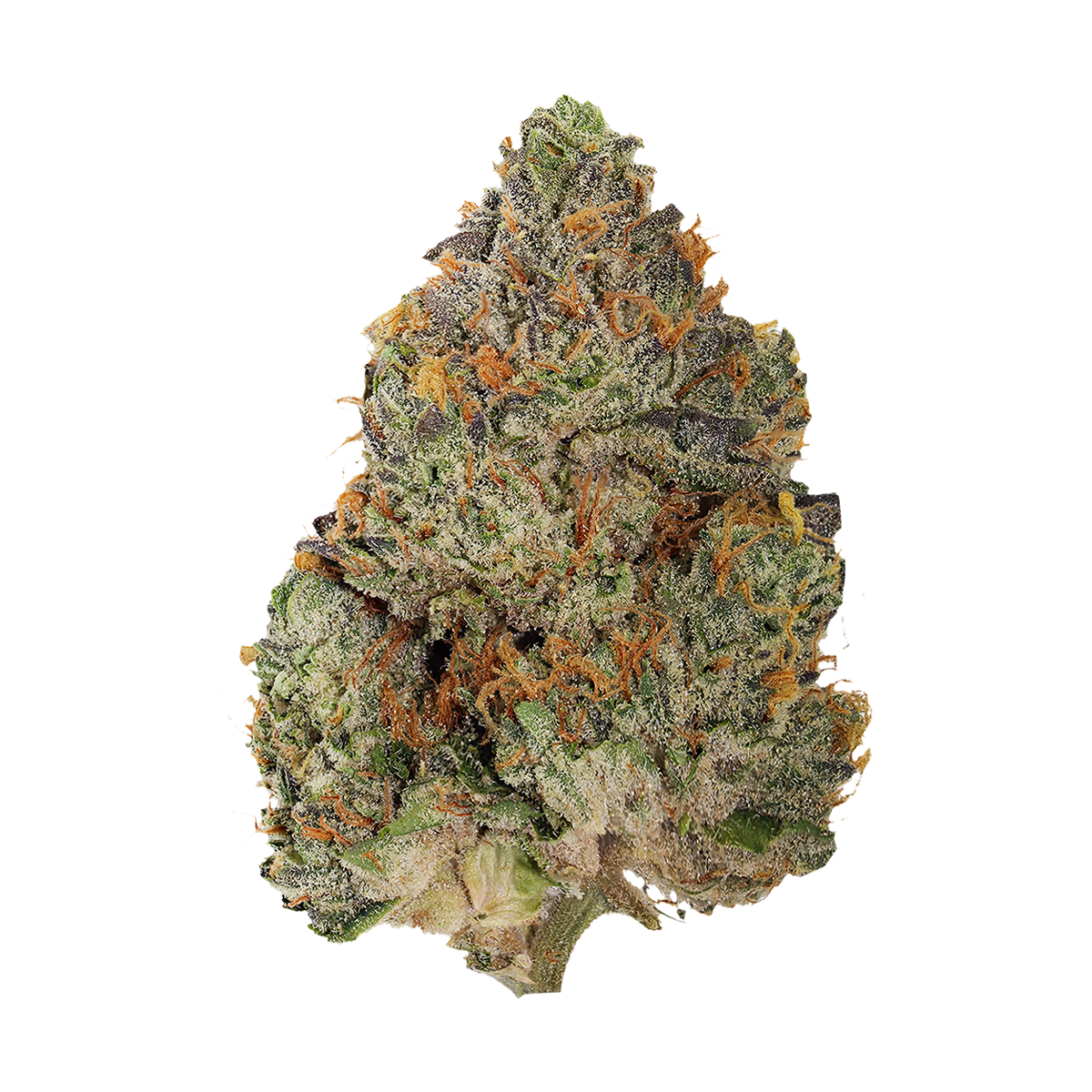 Blue Zushi 7g Premium Flower Canada